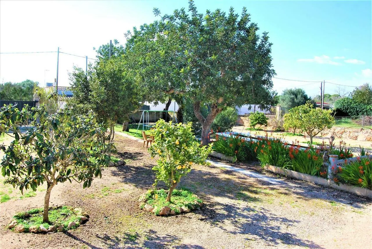 Villa Es Marroig Llucmajor